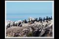 Impressionen 2 Monterey - Pismo Beach (12).jpg